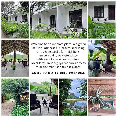 Bird Paradise Hotel Sigiriya Exterior photo