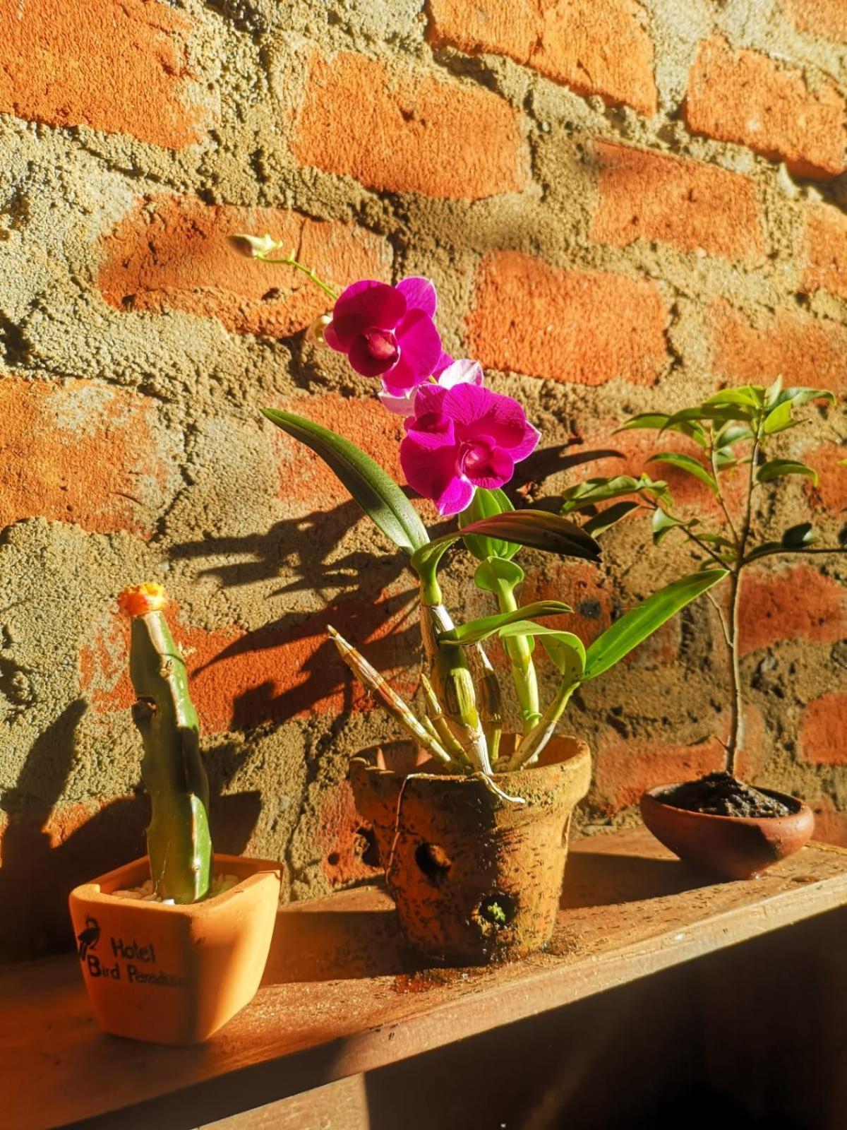 Bird Paradise Hotel Sigiriya Exterior photo